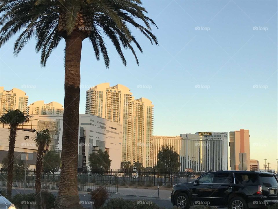 Vegas