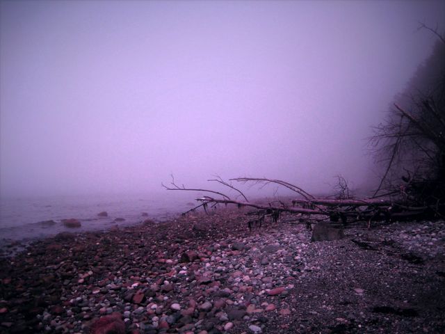 purple story