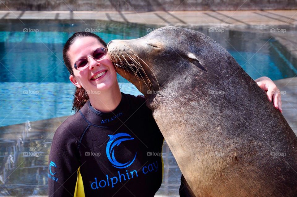 Sea Lion Kisses