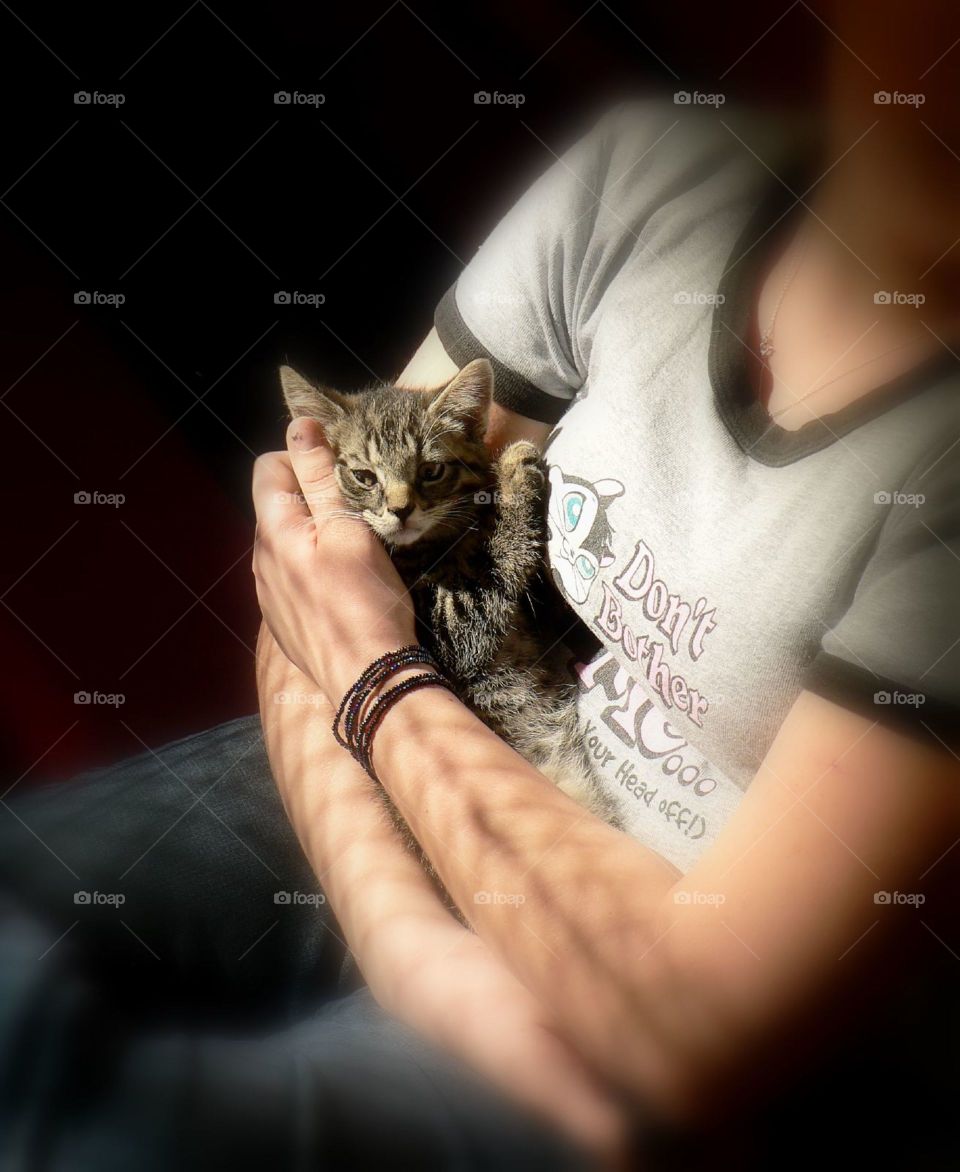Cuddle cat. A kitten cuddles with a potential owner during a cat adoption event