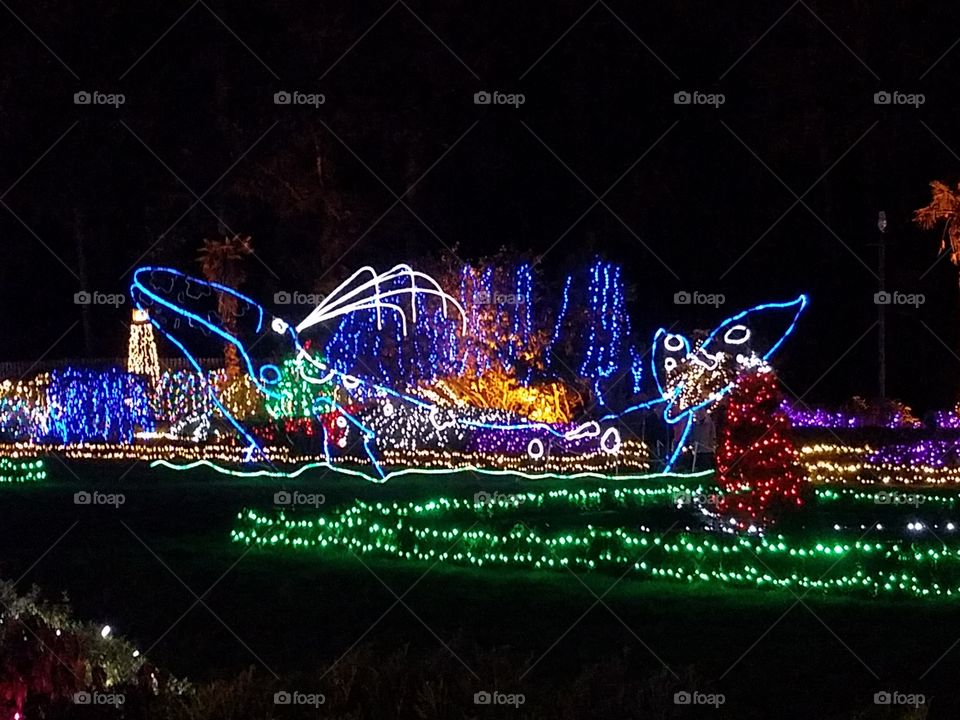 Shore Acres Holiday lights Charleston Oregon
