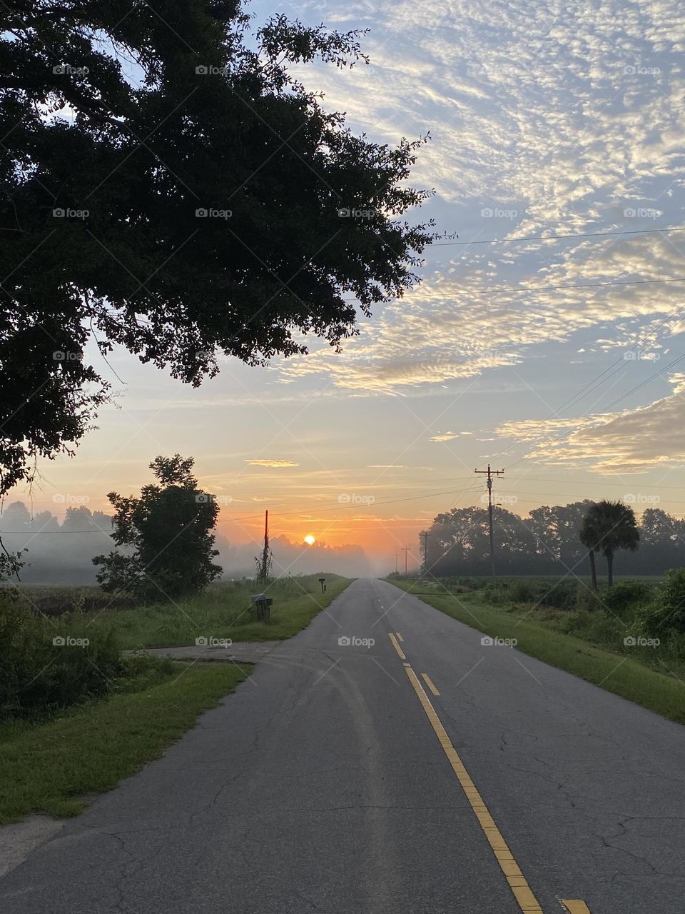 That beautiful bright sun beginning to rise 