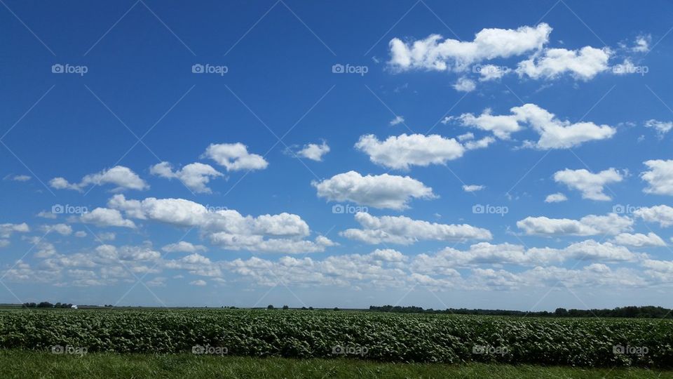 clouds over field