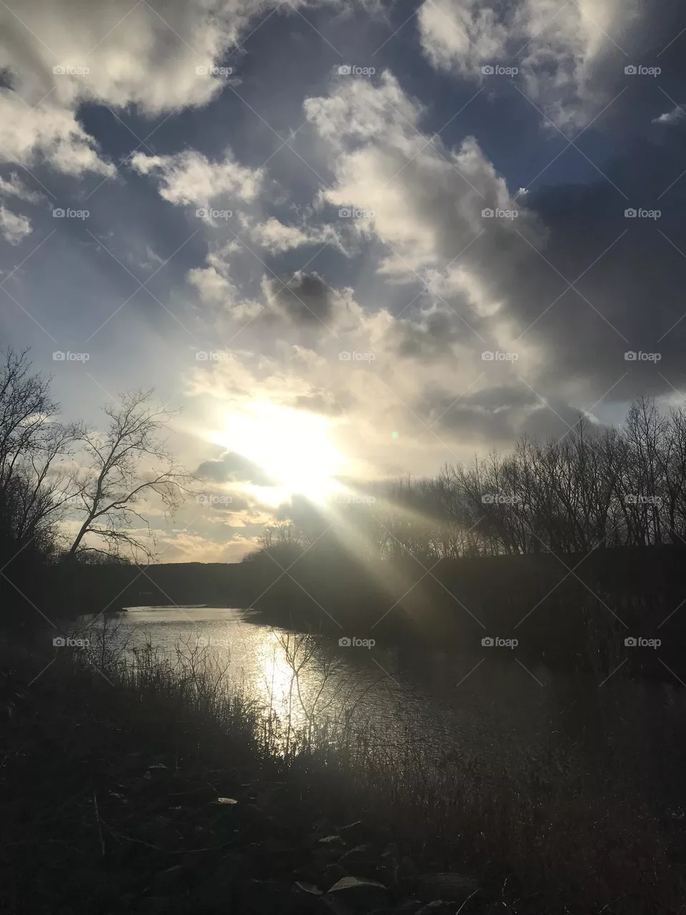 The River