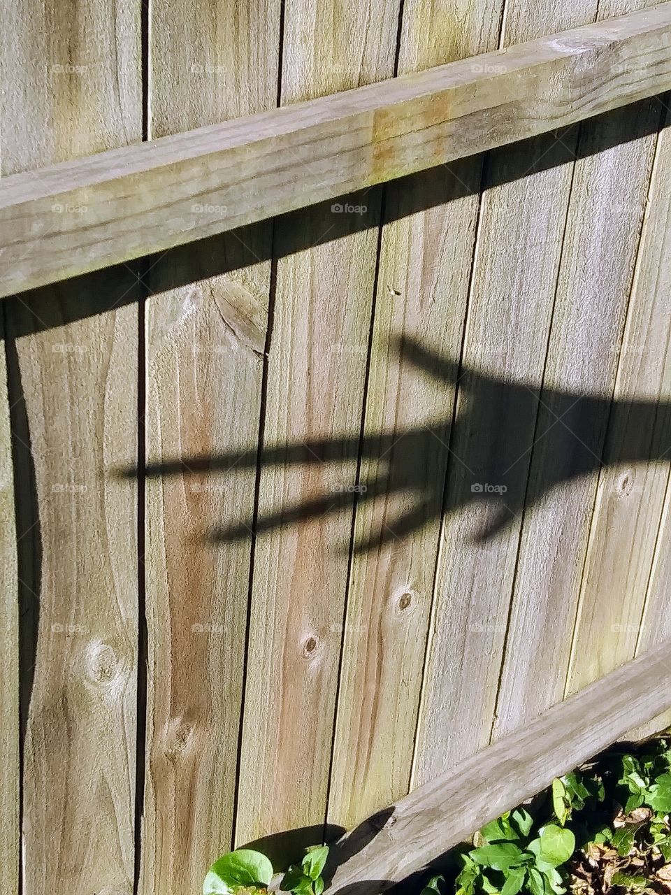 creepy shadow hand