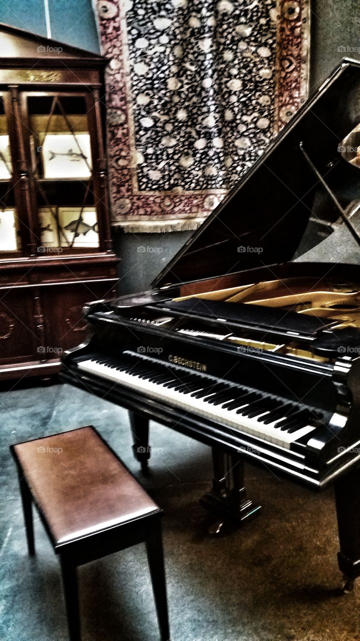 World's most famous musical instruments: piano Bechstein