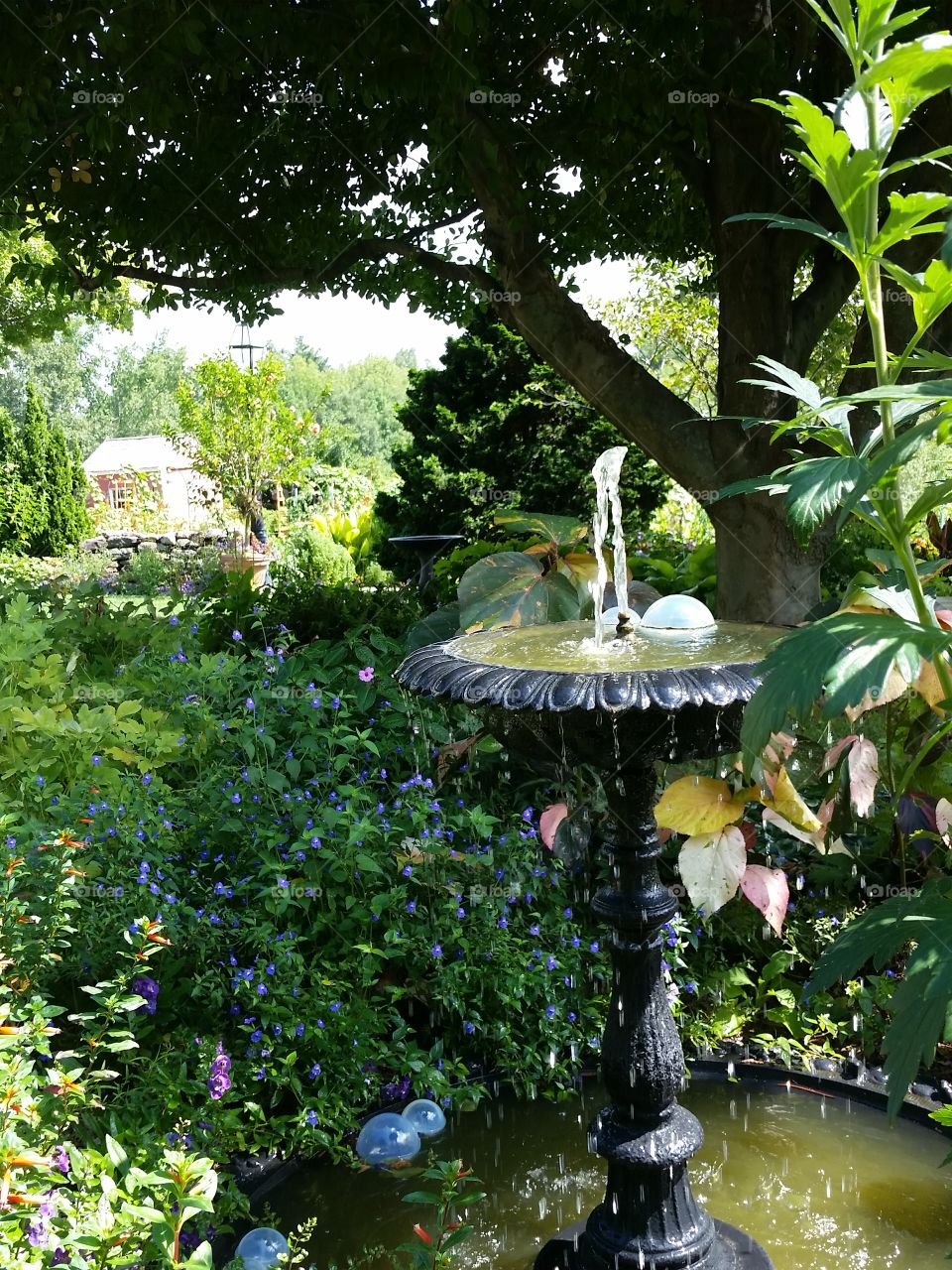 bubbles and water bubbling