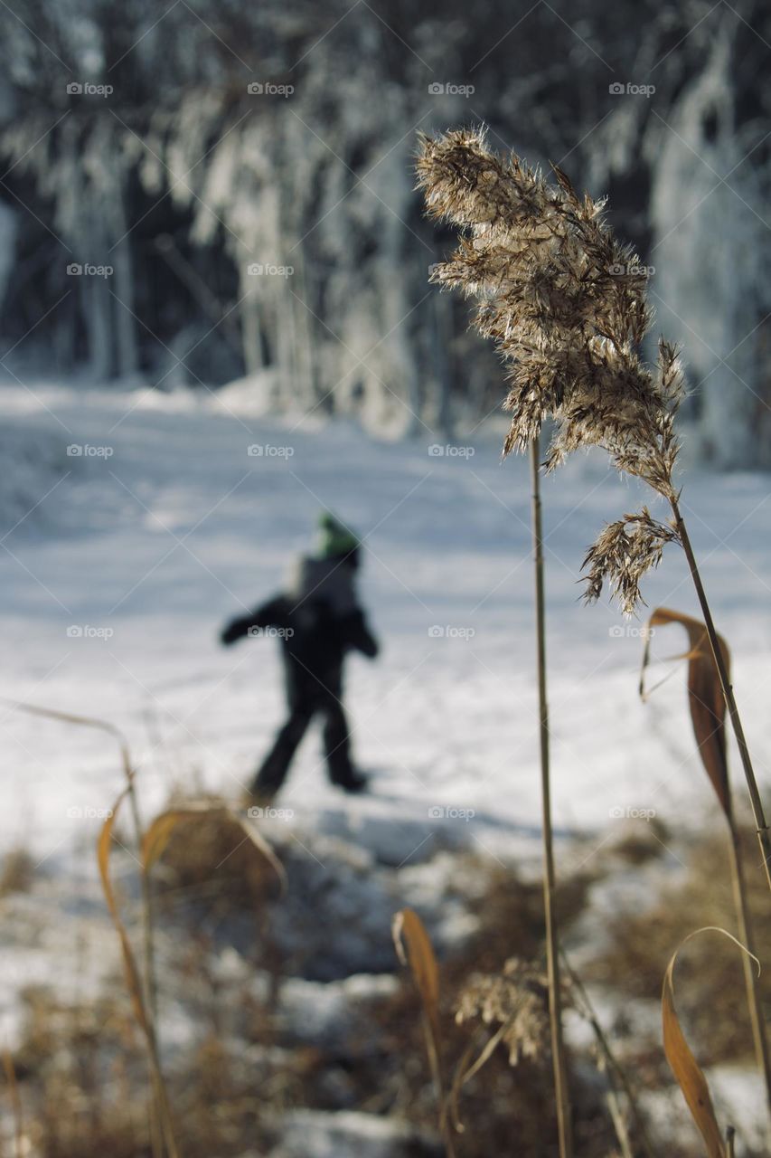 Winter in Vermont