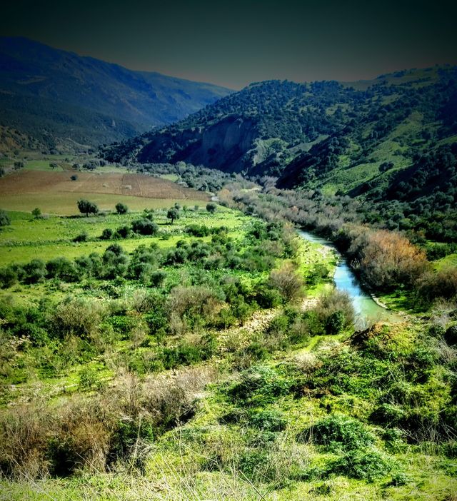 nature