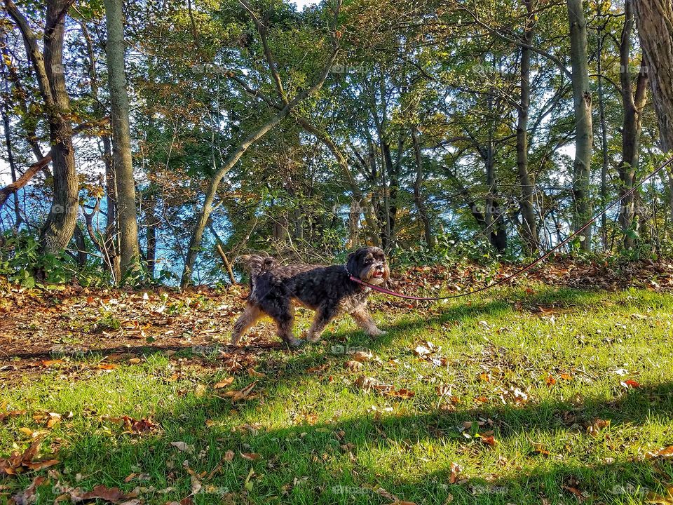 Enjoying a Walk