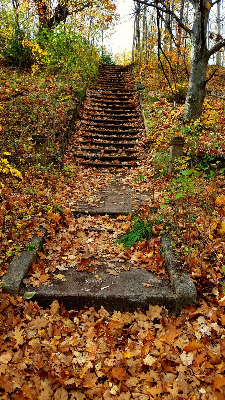 autumn stairs to nowhere