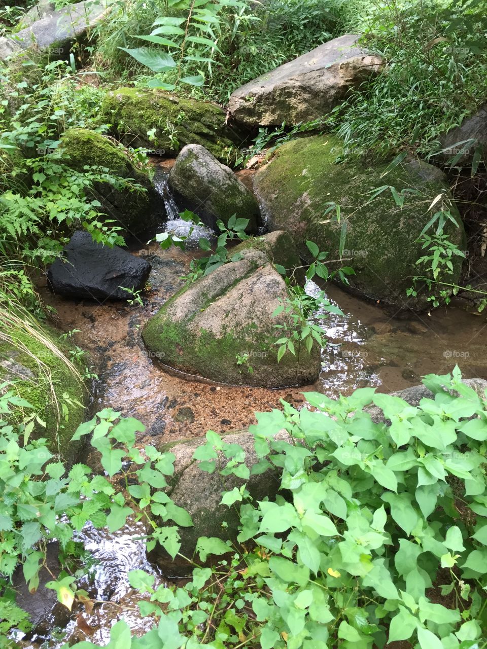 A pool near Beomeosa Temple, Busan, South Korea