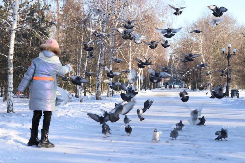 девочка кормит голубей в парке