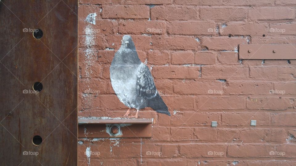 street art of pigeon