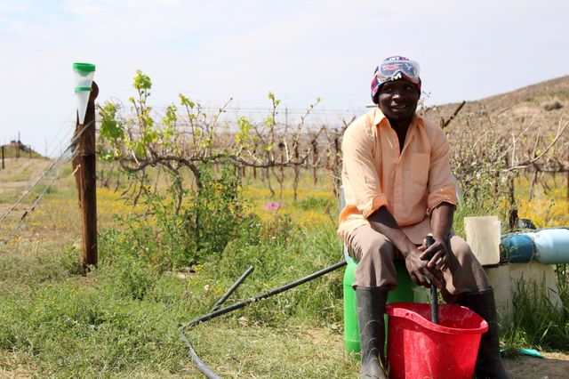 People, Adult, Outdoors, Bucket, Grass