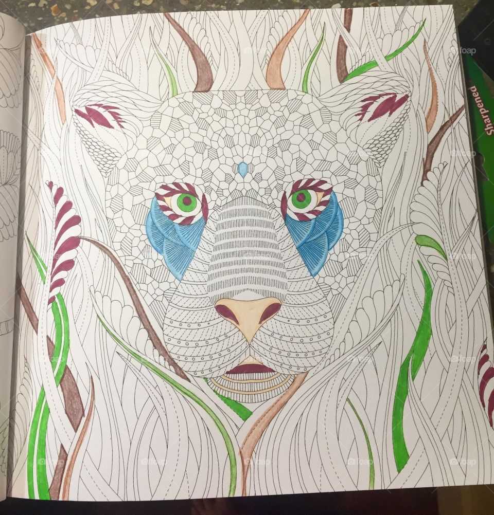 WIP coloring a jaguar in my animals adult coloring book. I did this on a road trip to Colorado for an internship. 