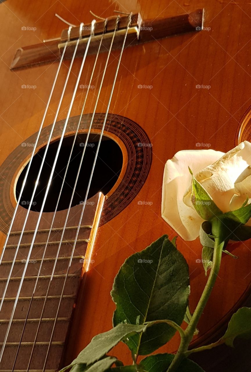 One rose and a guitar