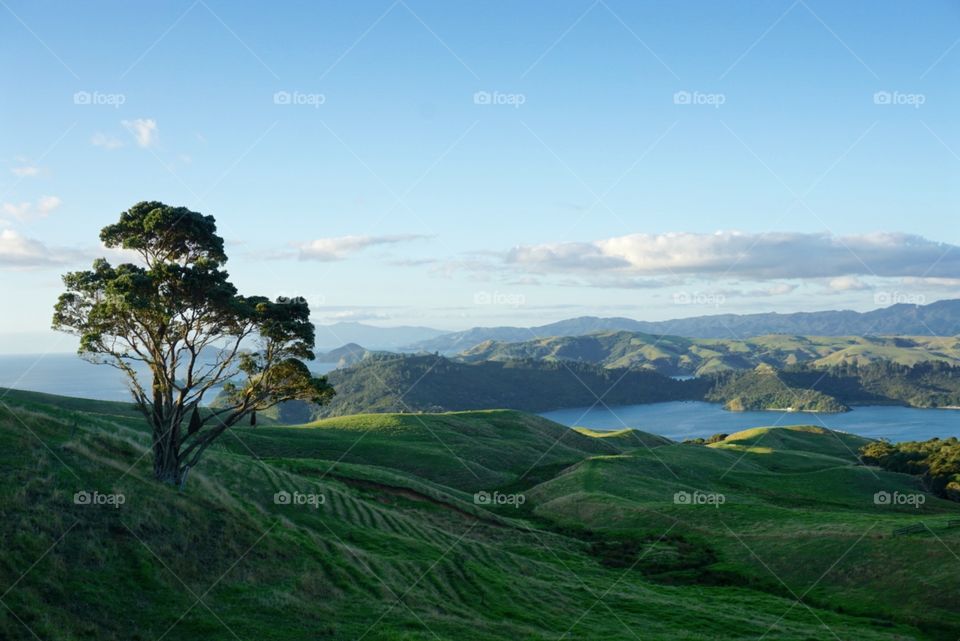 Coromandel Peninsula 