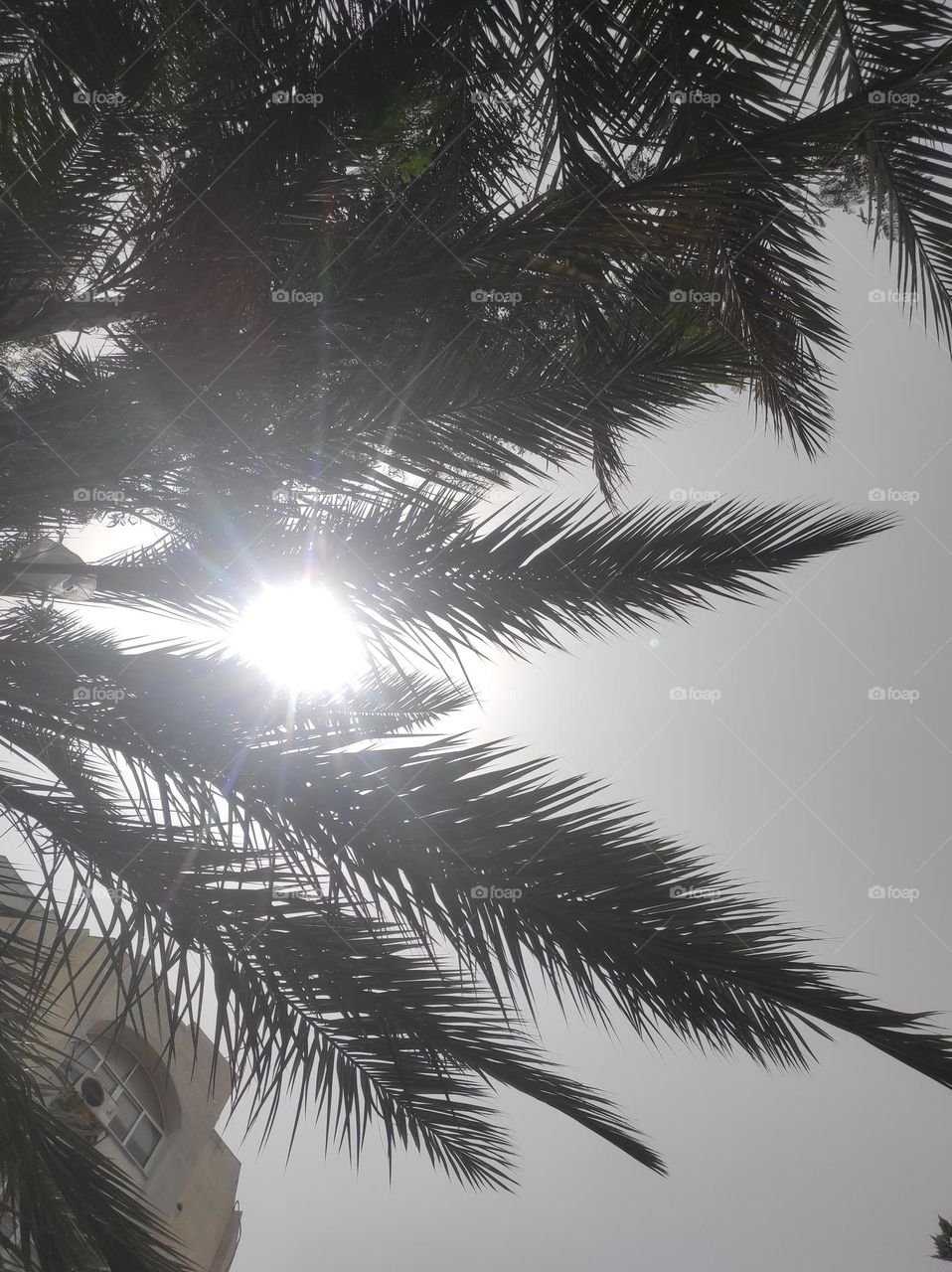 I don't want to feel frustrated