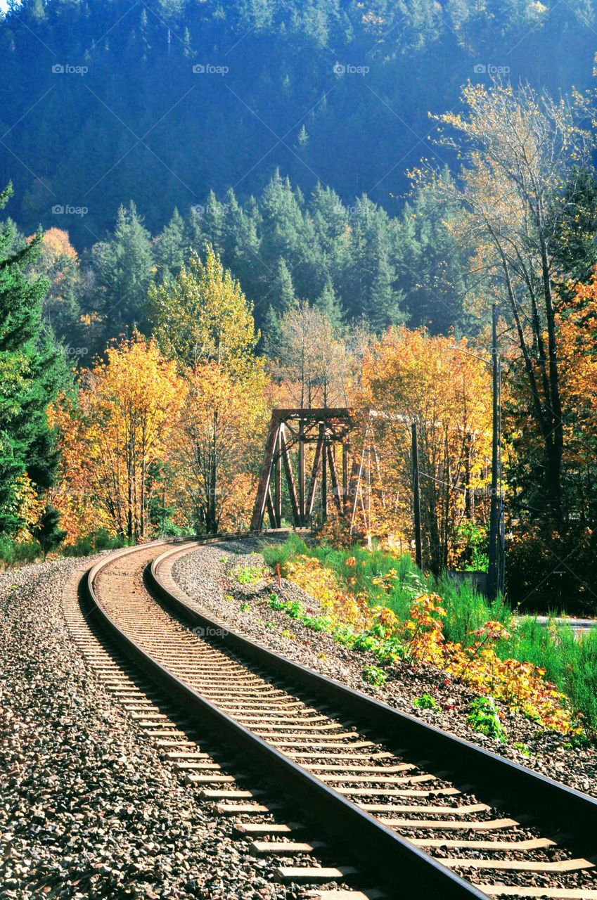 autumn colors by mountain tracks