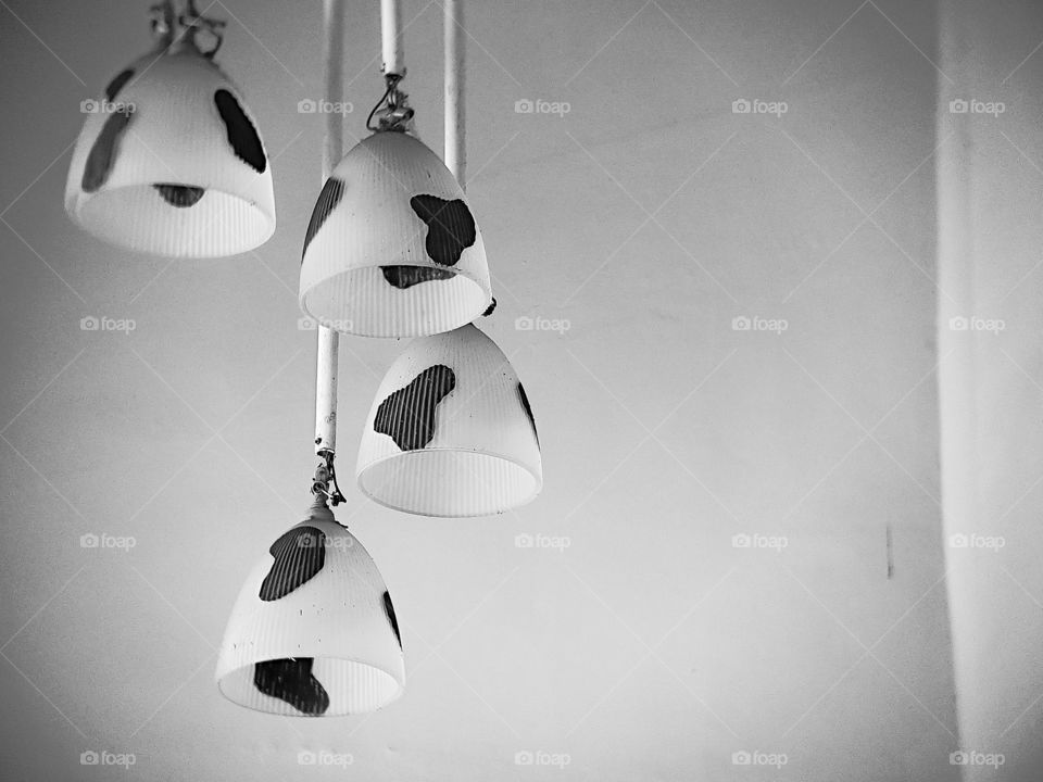 Cow motif lamp in black and white photos