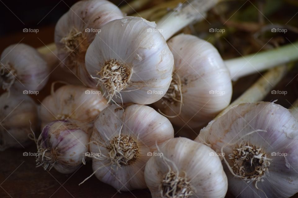 Close-up of garlic