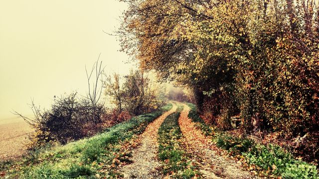 On the road