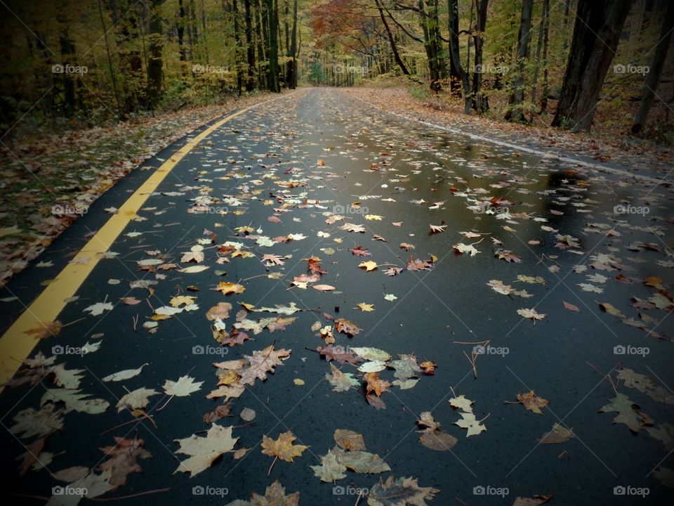 Northern Michigan 