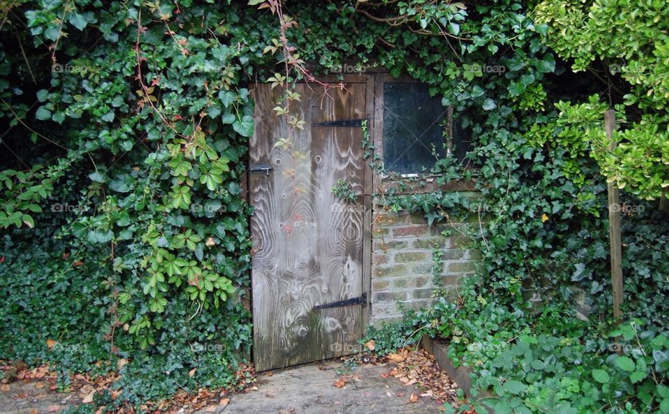 nature shed creepy wooden door by Petalskull