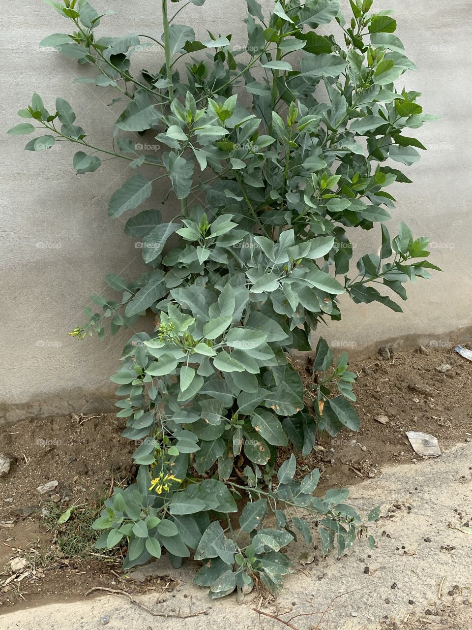 🥶🌧all the time a weather city of albaha