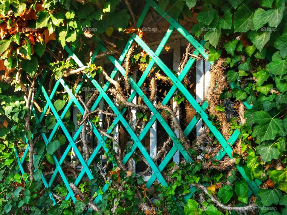 When nature shows up in everything around us!