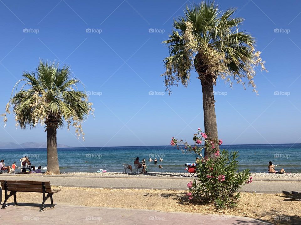 Sunny holidays I’m Turkey. Walk in the cute city and charming streets by the beach in Kusadasi. perfect blue sky and ocean view. Beach and the shore. To travel is to live. Gorgeous tall palm trees.