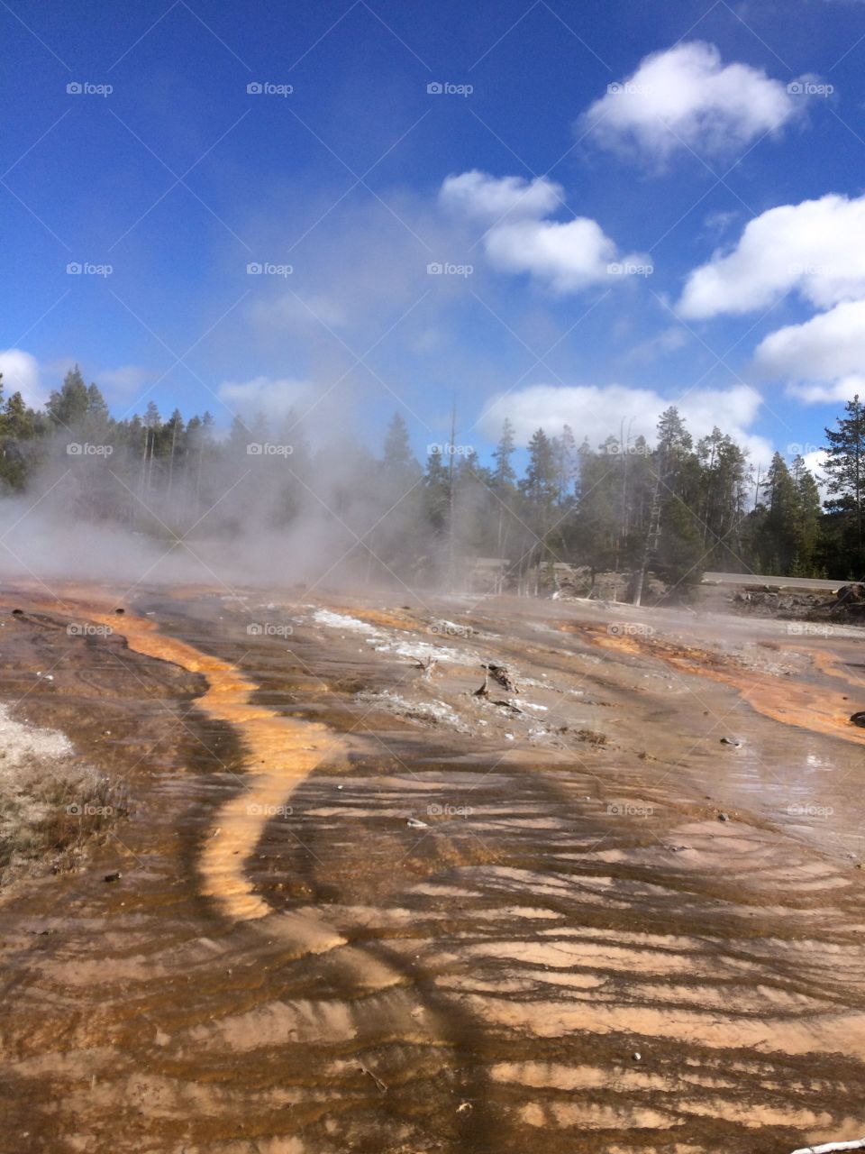 The lands and geothermal features of Yellowstone National Park 