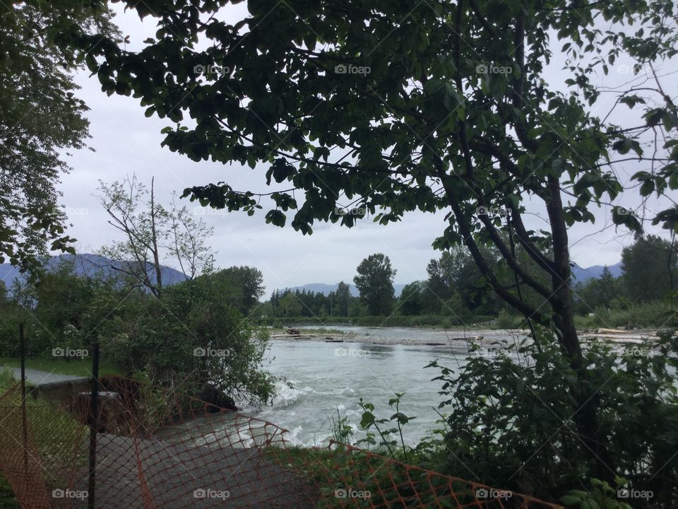 The Vedder River flooding onto the trail