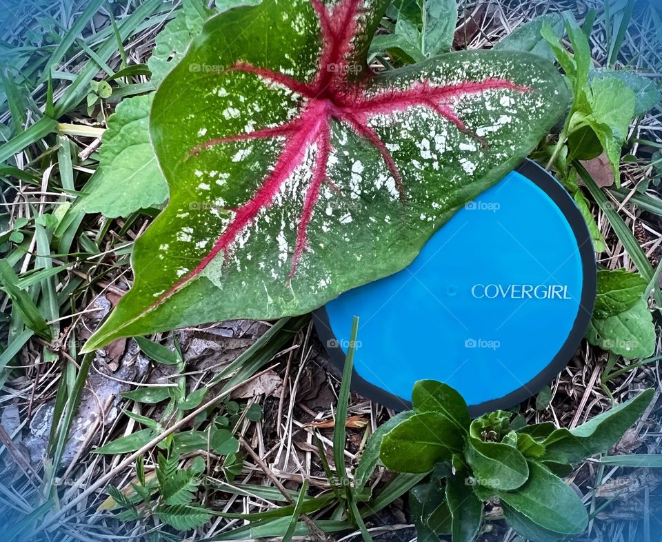 Covergirl compact goes where you go.