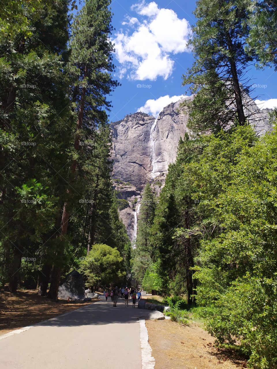 Yosemite National Park