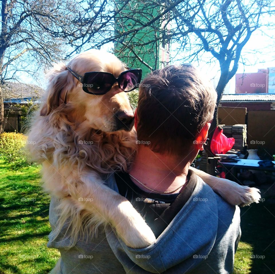 happy dog in sunglasses embraced his owner