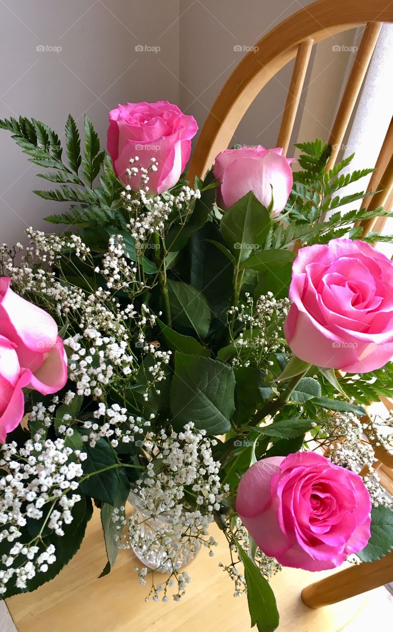 Pink Roses