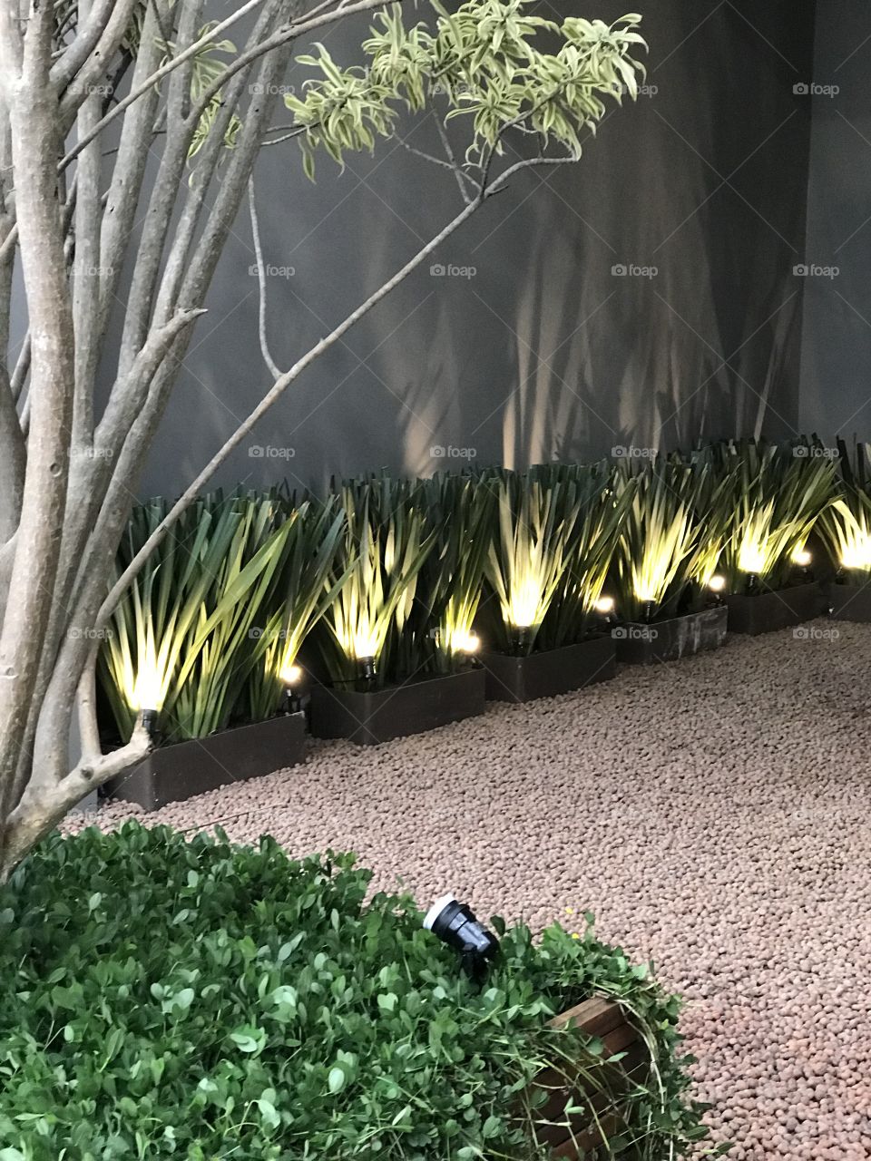 Light decorated plant inside the shopping