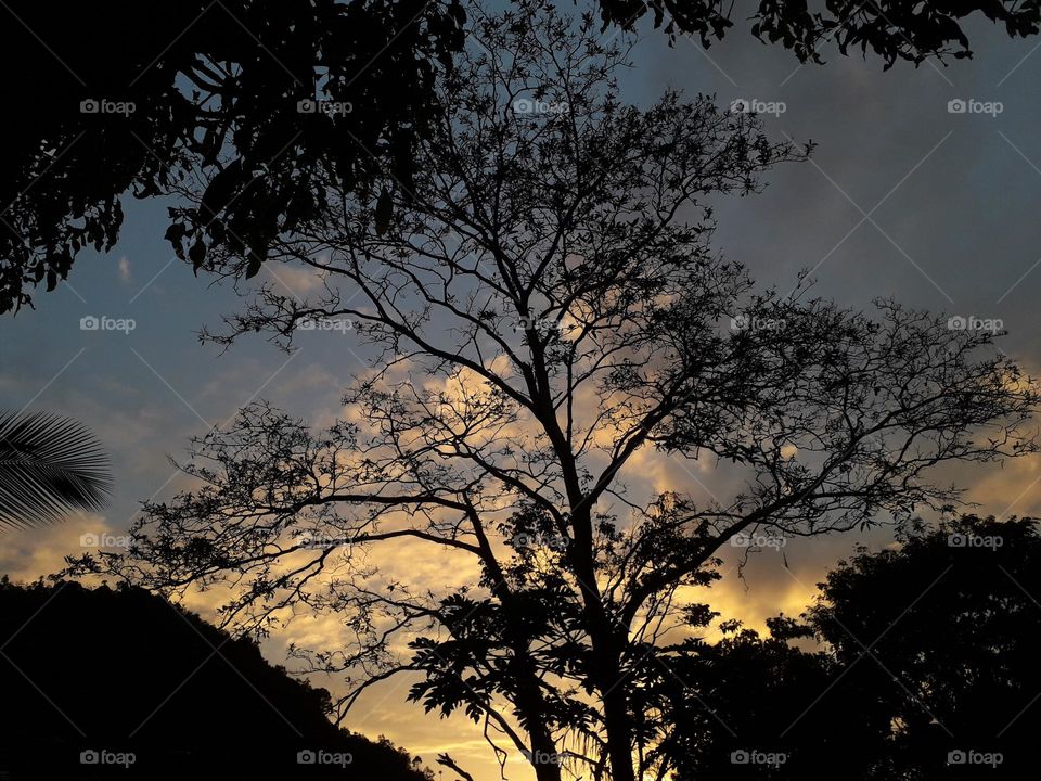 naturelove, evening click, beautiful picture, beautiful sky