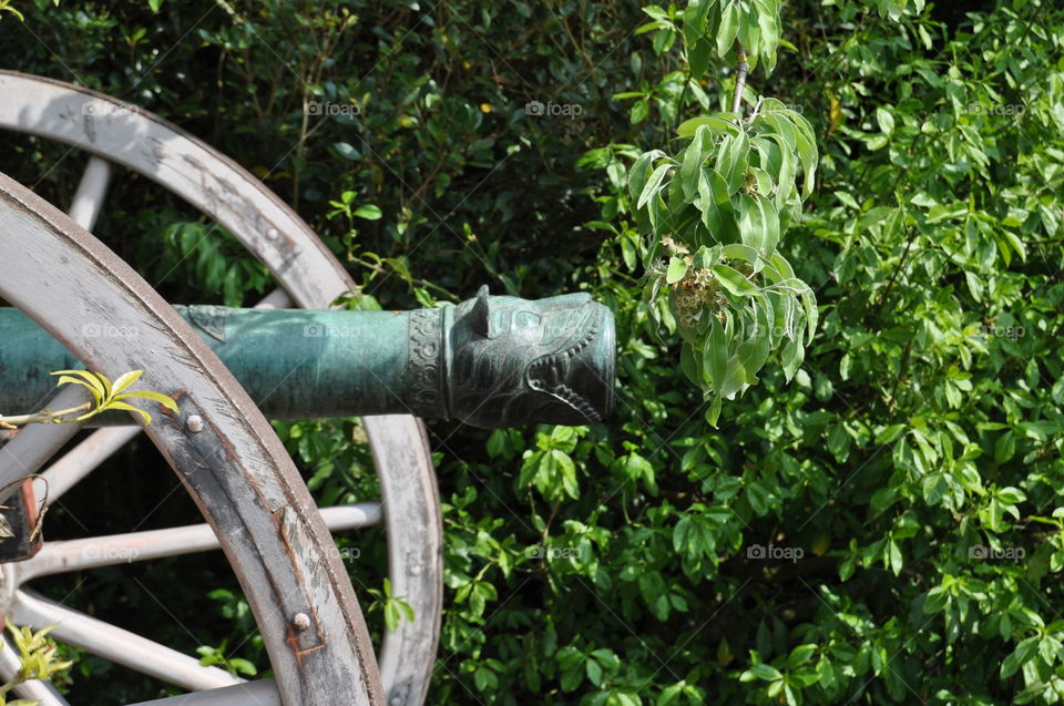 A Bronze Cannon