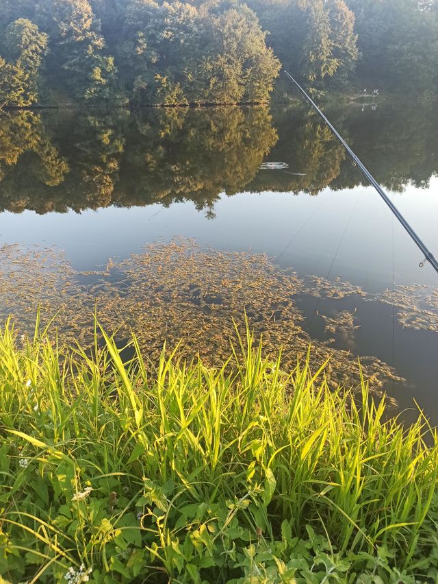 lake