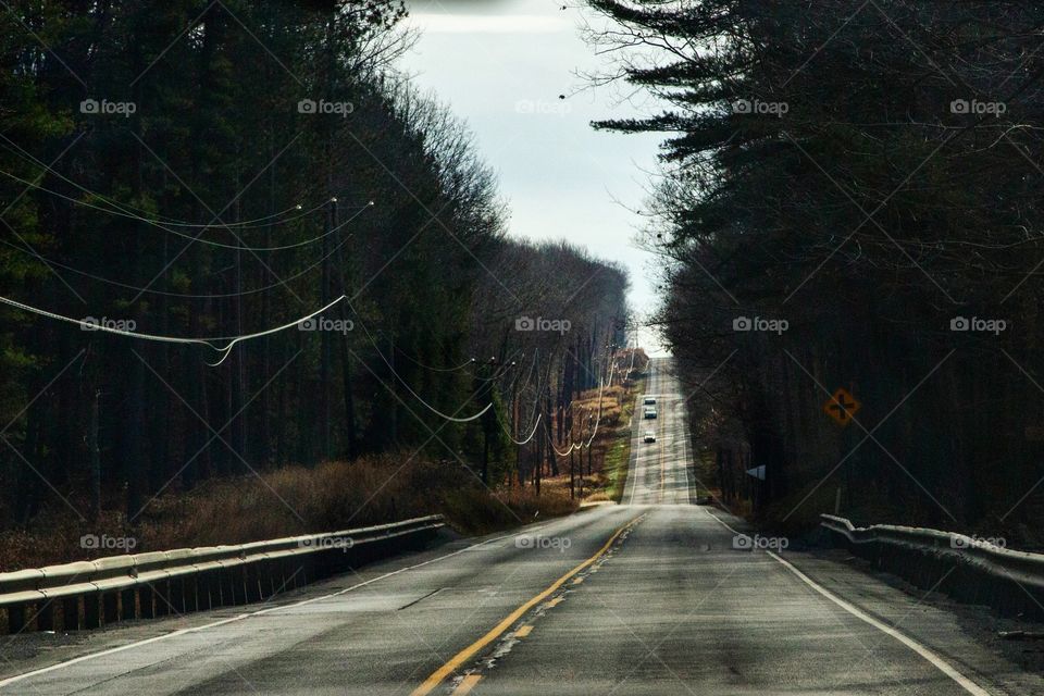 Road, Street, Light, Tree, Guidance