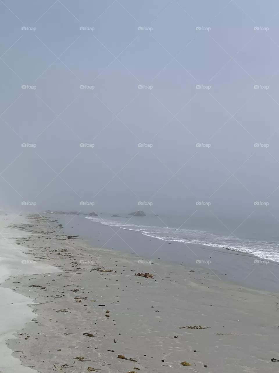 Foggy Beach 