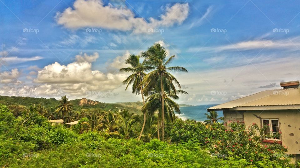 scenic view of mountain's and ocean...Bathsheba Barbados