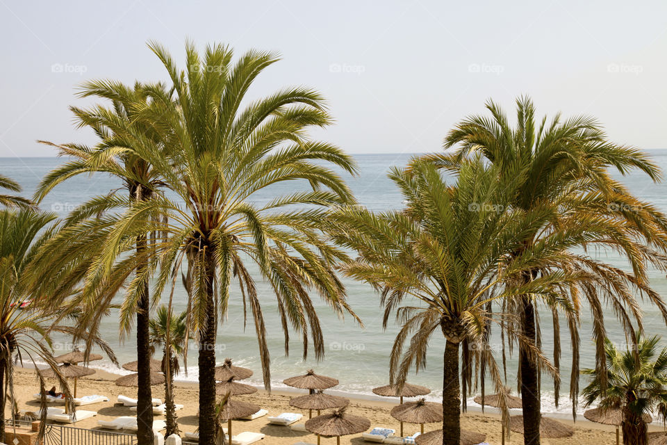 View of beach, Marbella, Spain