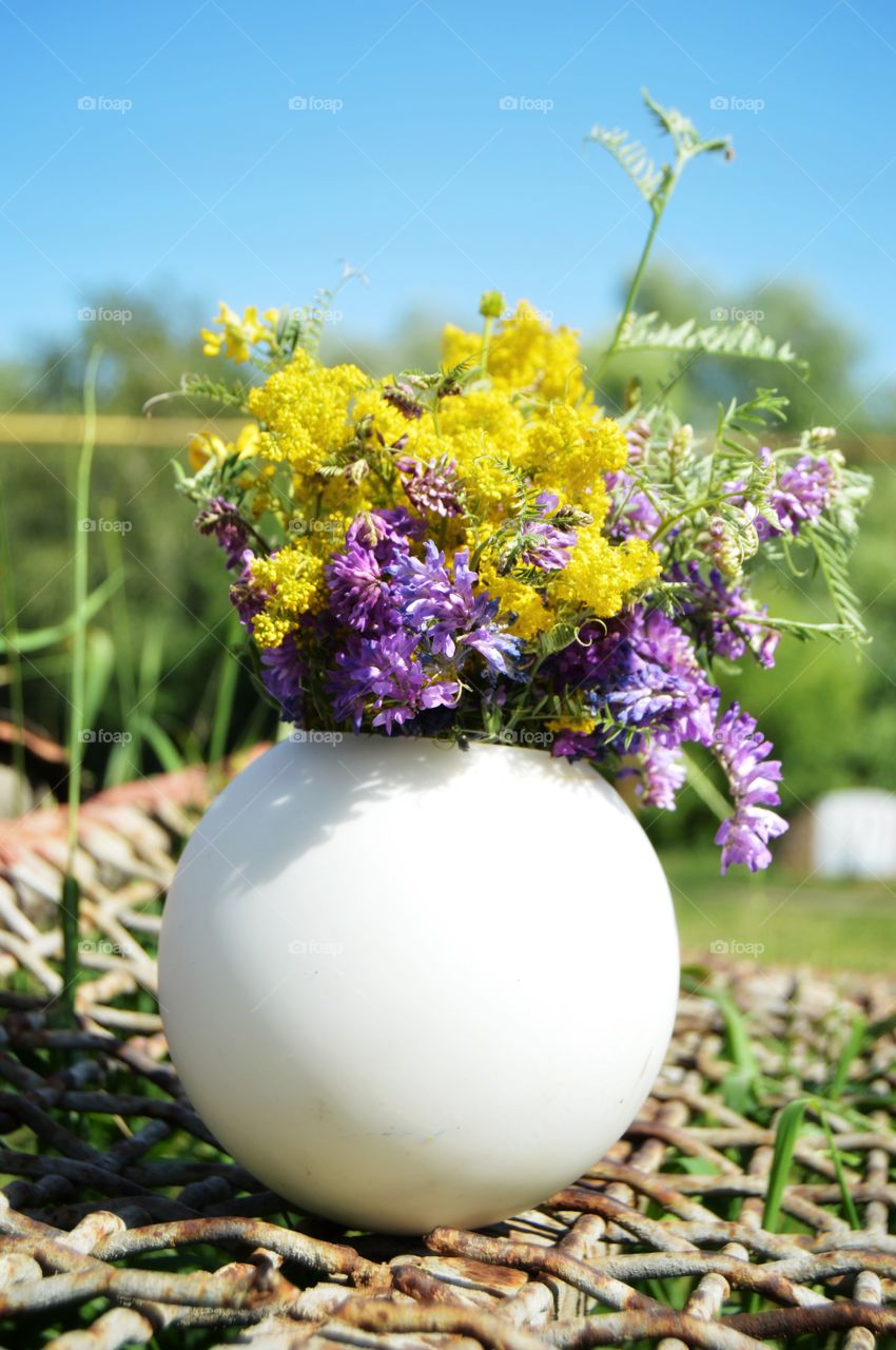 The best miracle of the Earth - flowers!
 
Flowers are the decoration of the earth. Flowers are the decoration of summer. Without flowers, earthly life would lose its charm altogether. Flowers are the smiles of the sun...