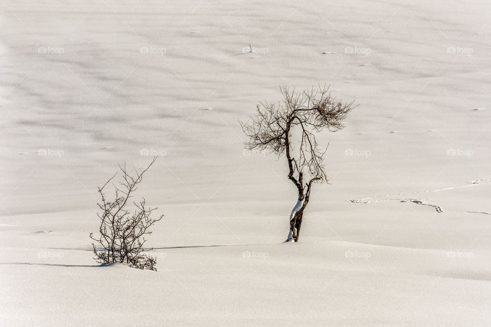 The signs of winter