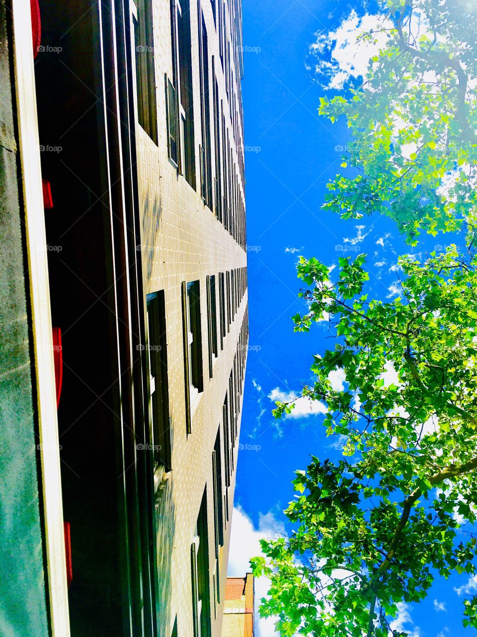 A building in Fort Greene, Brooklyn, NY somewhere on Fulton Street photographed from an unusual angle looking straight up at the sky from underneath. Photo from August 2020. Hypnotic Productions