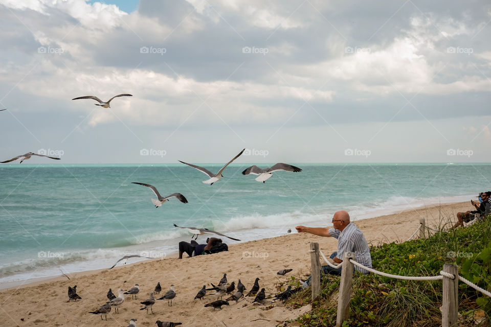 Don't feed the birds.